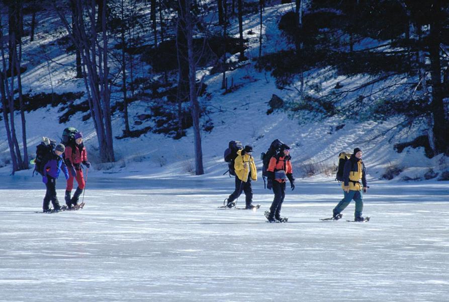 Hotel Taboo Muskoka Gravenhurst Zewnętrze zdjęcie