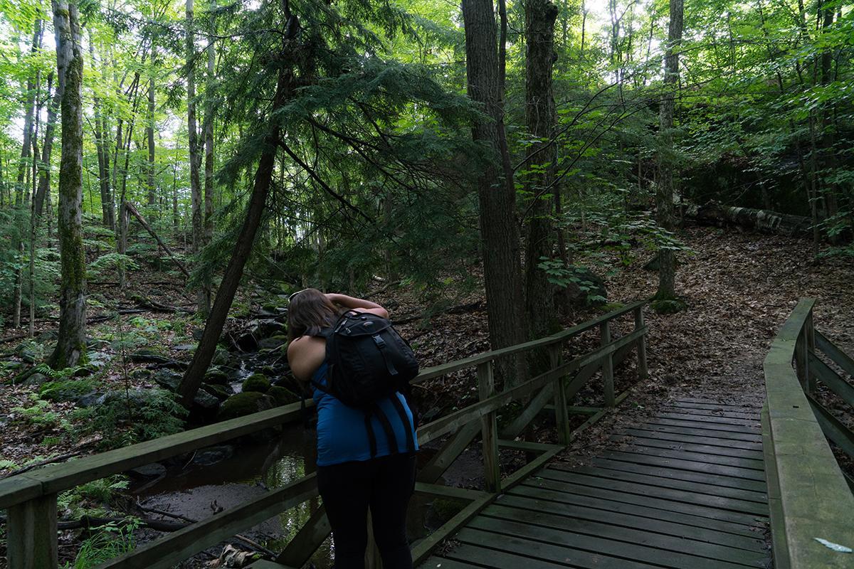Hotel Taboo Muskoka Gravenhurst Zewnętrze zdjęcie