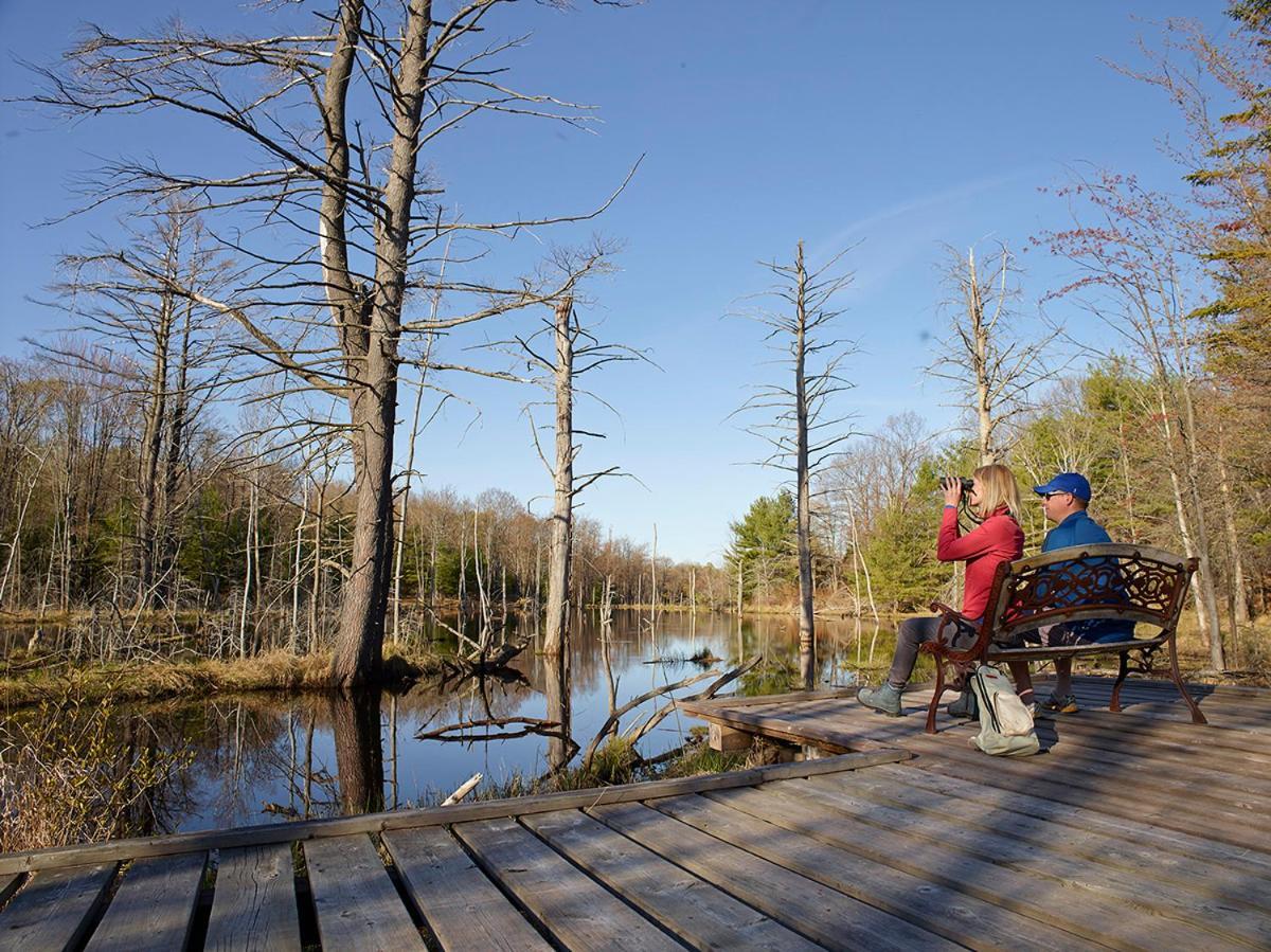 Hotel Taboo Muskoka Gravenhurst Zewnętrze zdjęcie